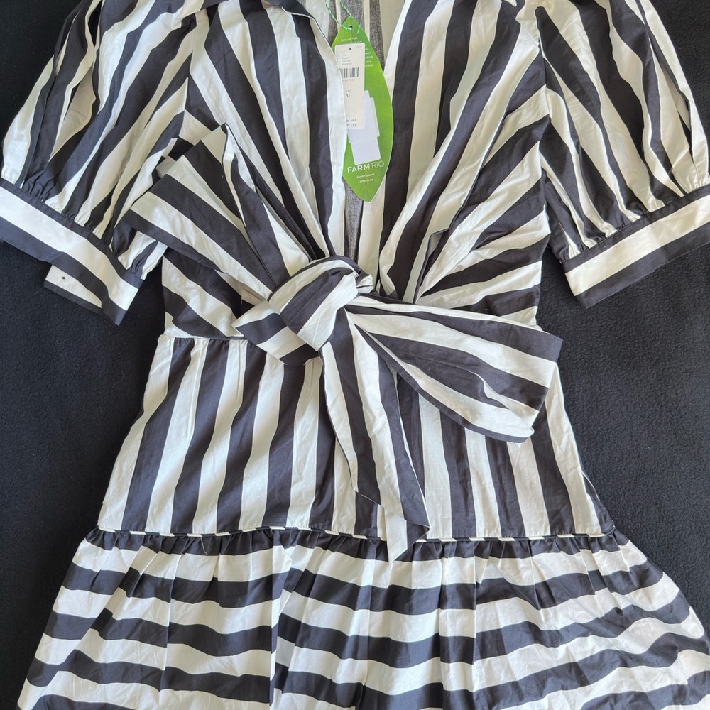 Striped Black and White Mini Dress